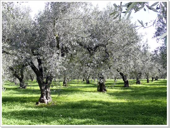 0142_sizilien_2012 (135).jpg